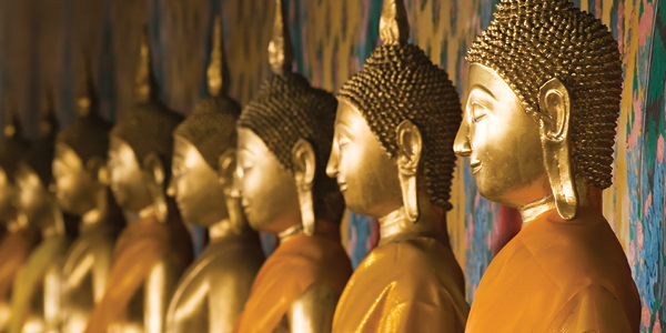 Thailand Experience