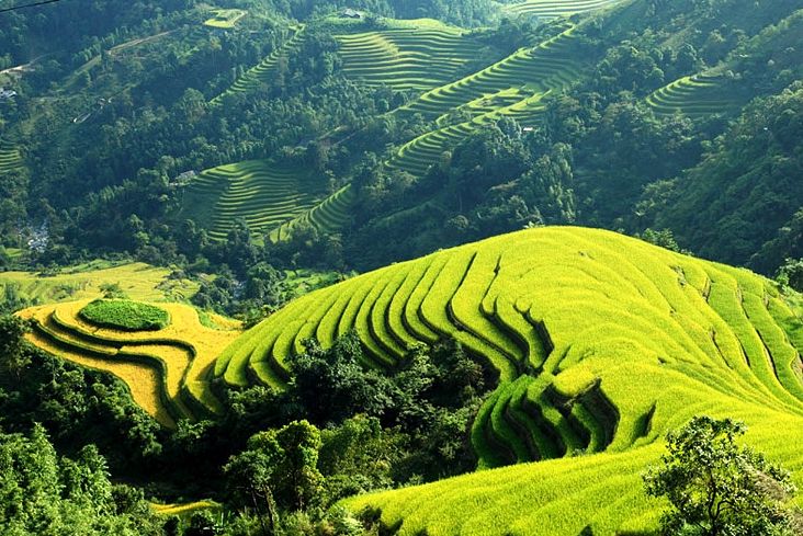 Splendors of Vietnam